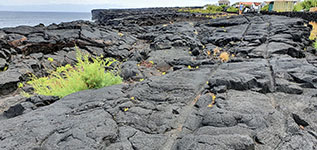Solchi di antiche ruote di carro sul magma ancor morbido, i rilheiros, a Lajido
