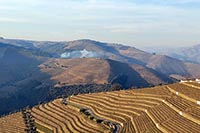 I vigneti Taylor visti dalla Quinta do Noval