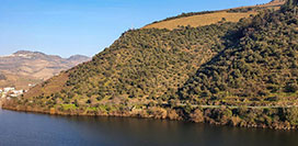 Il fiume Duero poco prima di Peso da Régua