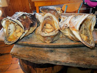 Portabiscotti al museo dello stoccafisso ad Å Lofoten