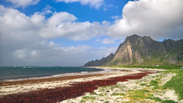 La bianca spiaggia di Bleik ad Andøya - Lofoten settentrionali