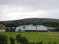 Glenlivet