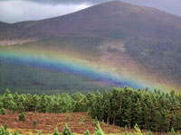 Cairngorms - Arcobaleno