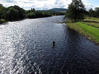 Speyside - Lo Spey
