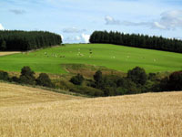 Speyside - Countryside