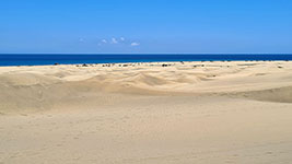 Le dune sull'oceano a Punta Maspalomas
