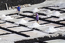 Operai al lavoro presso le saline di Fuencaliente
