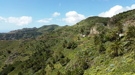 Parque Nacional de Garajonay