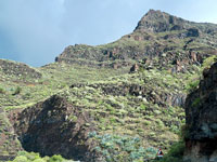 Parque Natural Majona