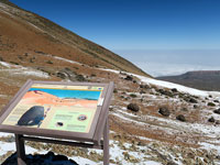 Montaña Blanca: le 'uova' del Teide