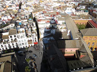Siviglia: l'ombra della Giralda