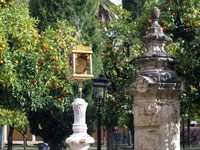Cordova: i giardini della Mezquita