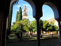 Cordova: Mezquita