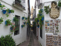 Cordova: calle de las flores