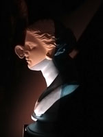 Testa di Venere Otorinologic