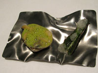 Cactus kalanchoe e ceviche di fasolaro