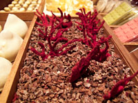 Cassetta di creazioni di cioccolato assortite