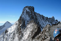 La vetta del Piz Bernina dalla cresta