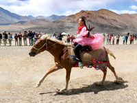 Cavallo in corsa a Murghab