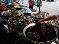 Vassoi di crostacei vivi a Chinatown