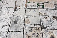 L'Africus o Libeccio o vento di sud ovest nella rosa dei venti di Dougga