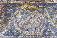 Mosaico con testa zoomorfa a Bulla Regia 



