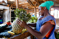 Rinfresco con ananas lungo la strada
