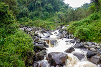 Il torrente Bujuku