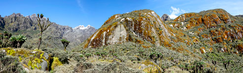 Panoramica dell'alta valle del torrente Bujuko. Sulllo sfondo il ghiacciaio Margherita con le Punte Alexandra e Margherita (vette del Monte Stanley)