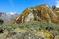 Alta valle del Bujuku