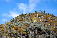 Il monte Speke incombe sul Bujuku