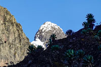 La cima Margherita