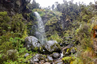 Cascata