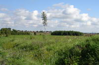 Campagna di Pecs
