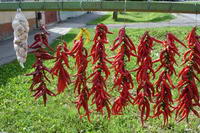 Peperoncini