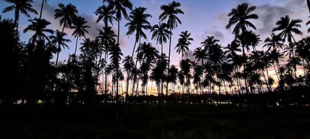 Palme al tramonto a Waipouli beach, Kauai
