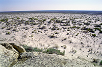 Moynaq - Lago d'Aral