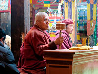 Lama al gompa del Palazzo di Shey