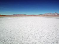 Il sale del salar di Maricunga