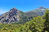 Immagini dell'Araucania, della regione de Los Rios e Los Lagos del Cile