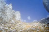 Immagini della salita in Grignetta febbraio 2008