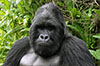 Immagini dell'Uganda