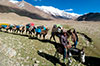 Immagini del trek in Xinjiang al cb nord del K2