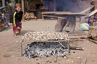 Cottura alla brace di pesce del Mekong al villaggio di Tomotha