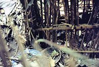 Sepolture tradizionali all'aperto a Bedugul