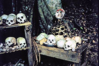 Resti umani delle sepolture aeree di Bedugul