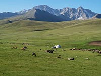 Yurte di allevatori di cavalli