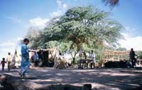 Bancarelle a Iferouane