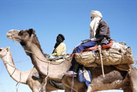 Touareg in marcia nel Ténéré