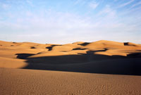Dune